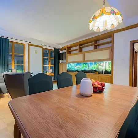 - Mi Forest Warschau